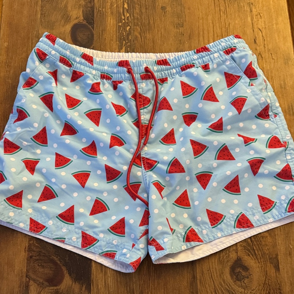 Watermelon men's swim suit
